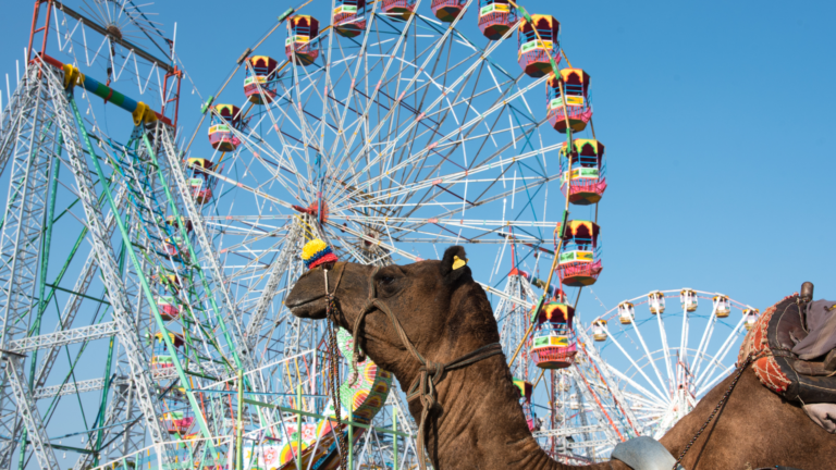 Pushkar Camel Fair cover image by luxury rajasthan