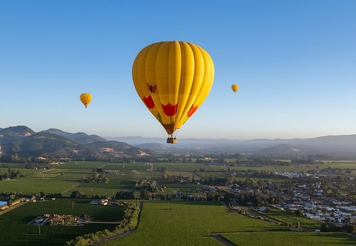 air balloon rajasthan by castle and king