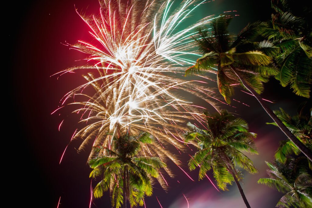 new year’s celebrations in kerala